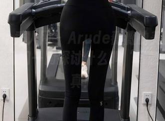 Xiuren秀人网 – Arude薇薇的美腿和美臀，让我们一同探讨什么叫‘写意’的写真！