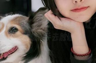 白衬衫的魔力：樱群私拍资源，让人忍不住想伸手去触碰